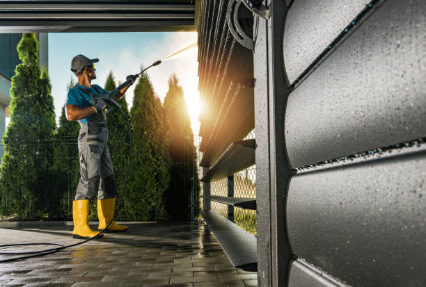 Best House Exterior Washing  in Dewitt, IA